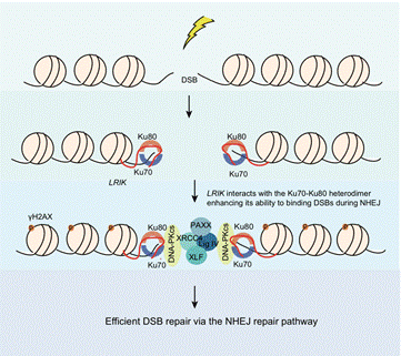 Figure 7-2020final.tiff