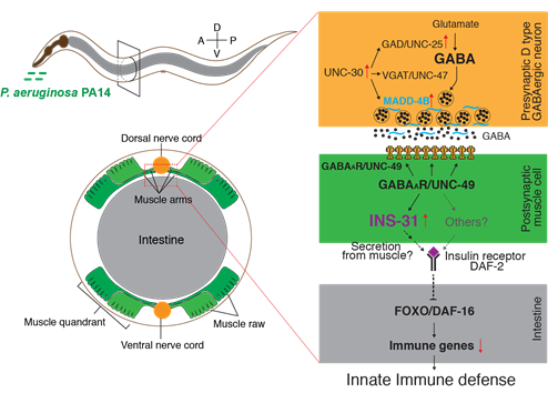 ../Figures%20_%20PNAS/Figure%20S9%20%20_%20V3_2nd%20Revision.png